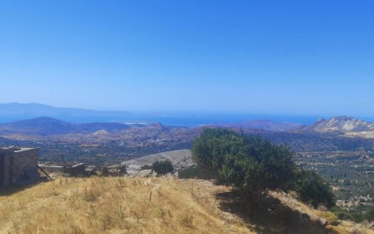 Πωλείται μοναδική έκταση συνολικής επιφάνειας 12.800 τ.μ. σε προνομιακή θέση στο Φιλώτι Νάξου