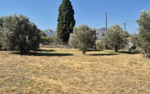 Οικόπεδο εντός οικισμού στο Χαλκί Νάξου