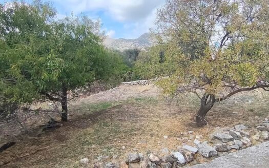 Πωλείται οικόπεδο 212 τ.μ. στον Καλόξυλο, Νάξος