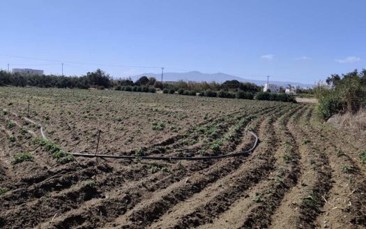Πωλείται έκταση 3.350 τ.μ. στην Πλάκα, Νάξος.